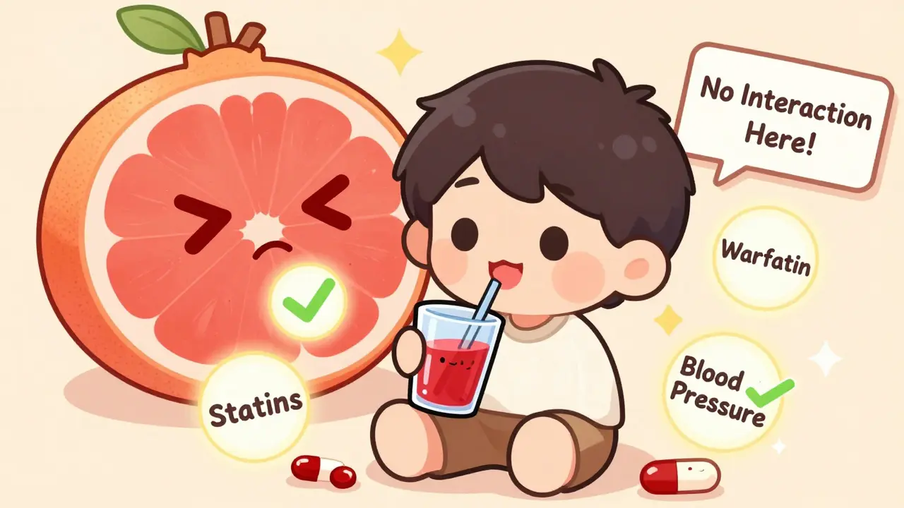 Pomegranate Juice and Medications: What You Really Need to Know About Drug Interactions